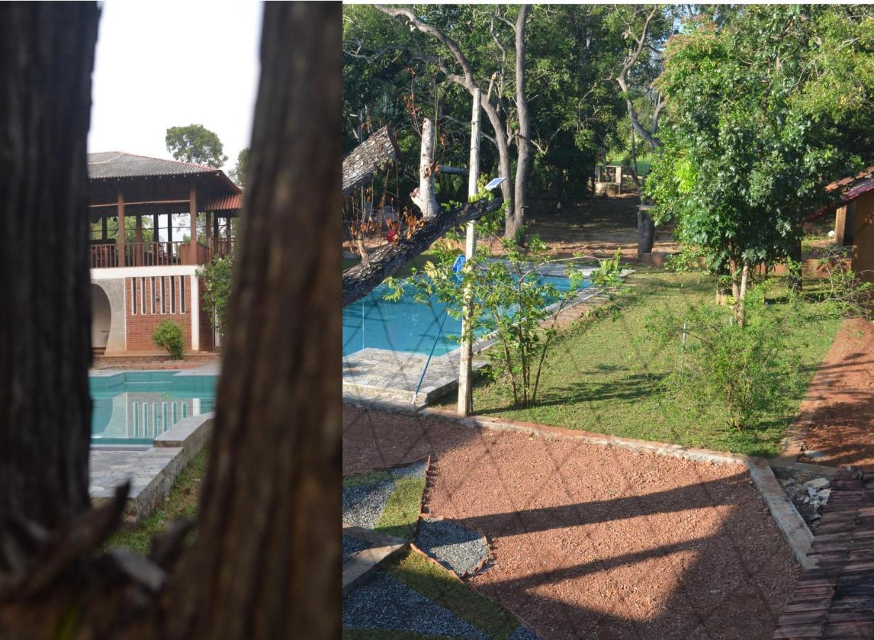 Vallee 69 Eco Villa-Tissa,Yala Tissamaharama Eksteriør bilde
